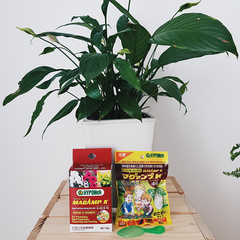  Phân bón tan chậm MagampK  hạt vừa N-P-K-Mg=6-40-6-15