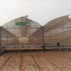  Nhà Kính Nhật Bản:  Kiểu nhà chân rết – Pipe house UK