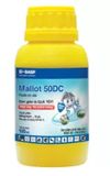MALLOT 50DC - ảnh 1