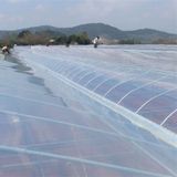 Màng Nilon Nhà Kính - Xuất xứ Nhật Bản - ảnh 1