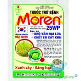 Moren 25WP - ảnh 1