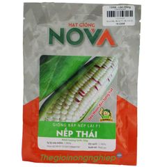  Hạt Giống Bắp nếp lai F1 Nếp Thái