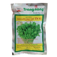  Hạt Giống Ngò Lớn Hạt Bể TN 61