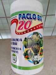  PACLO BO 20