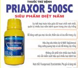 Thuốc Trừ Bệnh PRIAXOR 500SC – Siêu Phẩm Diệt Nấm (Chai 80ml) - ảnh 1