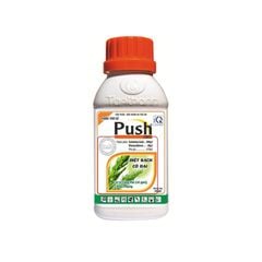  PUSH 330EC