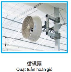  Quạt Tuần Hoàn Gió Nhà Kính