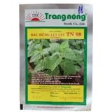 Hạt Giống Rau Húng Lủi Tây TN 68 - ảnh 1