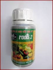  Root 2