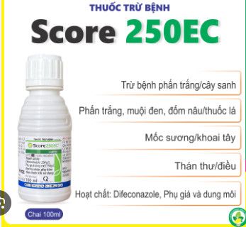 SCORE 250EC - Xem công dụng, quy cách và giá bán | Công Ty TNHH ...