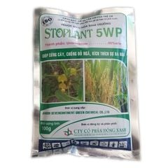  Stoplant 5WP - Thuốc Điều Hòa Sinh Trưởng Cây Trồng - Giúp Cứng Cây, Chống Đổ Ngã, Kích Thích Sự Ra Hoa