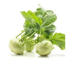  Hạt Giống Su hào Connemer - Xuất Xứ Từ Israel