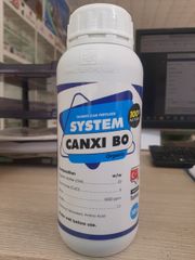  SYSTEM CANXI BO
