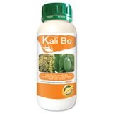  KALI BO TỔNG HỢP