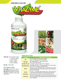 Vitazyme - Phân Bón Lá Cao Cấp - ảnh 2