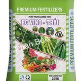 Phân trung lượng VN06 HC VINO- THÁI - ảnh 1