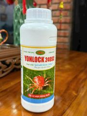  YONLOCK 240SC - ĐỐI THỦ MẠNH NHẤT CỦA NHỆN ĐỎ ĐÃ XUẤT HIỆN.