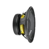  Củ loa bass rời 25cm PRV Audio 10W650A 
