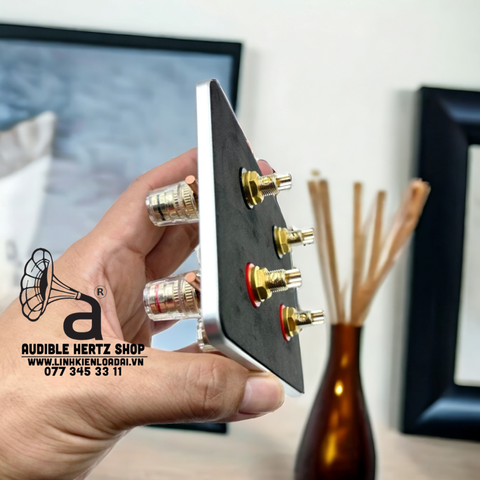  Trạm loa 4 cầu bi-amp bi-wire nhôm phay nguyên khối (theo cặp) 