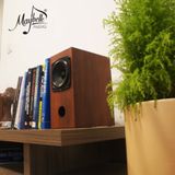  Loa bookshelf toàn dải 10cm Fostex P1000K 