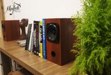  Loa bookshelf toàn dải 10cm Fostex P1000K 