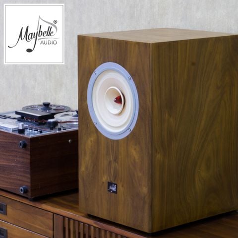  Loa bookshelf toàn dải 20cm Lii Audio Fast-8 