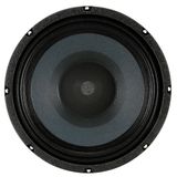  Củ loa bass 25cm đồng trục Eminence Beta 10CX 