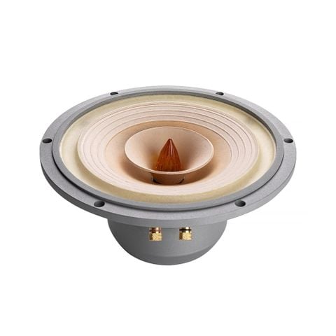  Củ loa toàn dải 25cm Lii Song Fast-10 