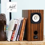  Loa bookshelf toàn dải 10cm Fostex FE103NV 