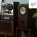  Loa bookshelf toàn dải 20cm Fostex FE206NV 