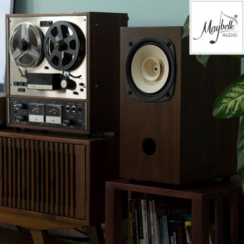  Loa bookshelf toàn dải 20cm Fostex FE206NV 