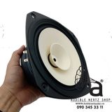  Củ loa rời toàn dải 20cm Fostex FE206NV (thay thế FE206EN) 