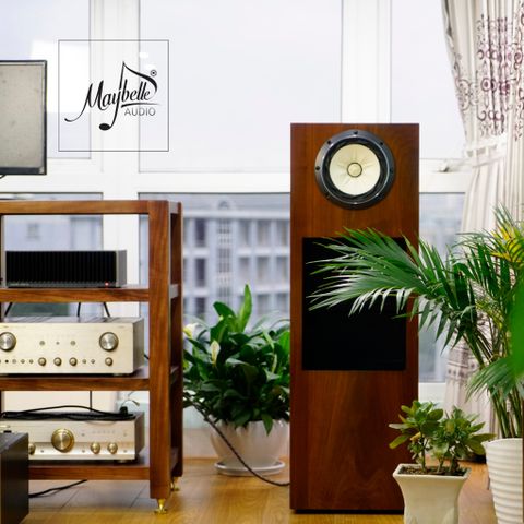  Loa toàn dải cao cấp Fostex FE208EZ (Sigma series) 