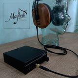  DAC & Headamp Fostex HP-A3 