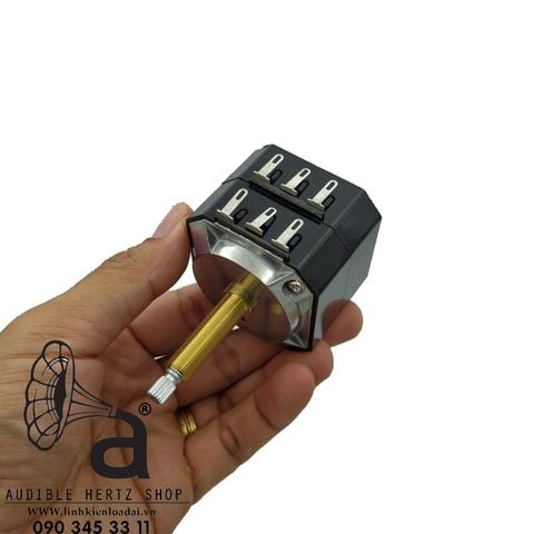  Biến trở/Chiết áp đôi/Lpad đôi 8 ohm 100w Fostex R82B 