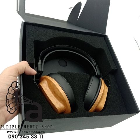  Tai nghe Fostex T60RP 