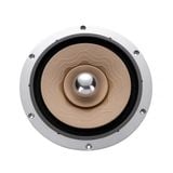  Củ loa rời toàn dải Lii Audio Platinum-10 25cm 