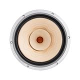  Củ loa rời toàn dải 25cm Lii Audio Silver-10 