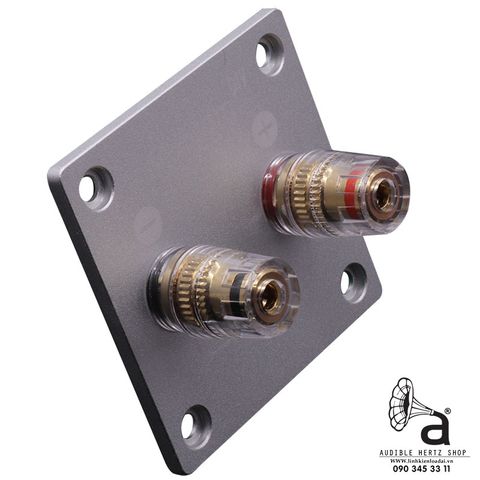  Trạm loa, hậu loa, cầu loa DIY nhôm phay nguyên khối 