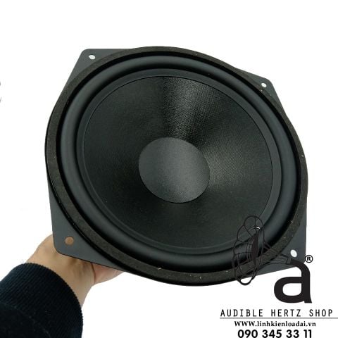  Củ loaa bass rời 25cm Visaton WS 25 E 