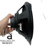  Củ loaa bass rời 25cm Visaton WS 25 E 