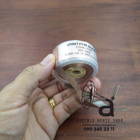  Cuộn cảm 0.3mH Jantzen-Audio Cross Coil 