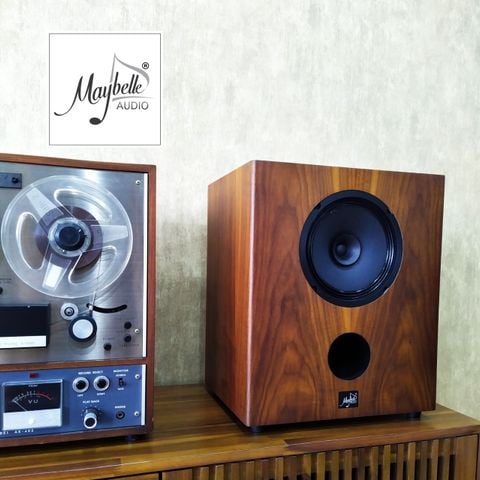  Loa bookshelf toàn dải 20cm Visaton BG 20 (phiên bản gỗ lạng) 