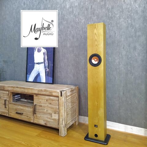  Loa cột toàn dải 16cm Markaudio Alpair 10M MLTL 