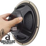  Loa cộng hưởng thụ động 20cm Dayton Audio DS215-PR 