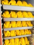 Gà ri ủ muối hấp hoa tiêu (1 con - nửa con)