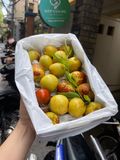 Hồng táo VIP - hộp giấy net 2kg