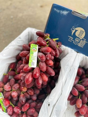  Nho Đỏ Hoàng Hậu ( NET 2KG) 