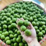  Sấu ngâm mắm Thái 