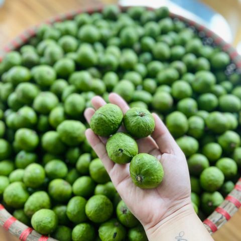  Sấu ngâm mắm Thái 